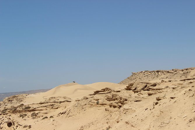 Sahara Tour : Half day trip to sahara (sand dunes ) with lunch - An Overview of the Tour