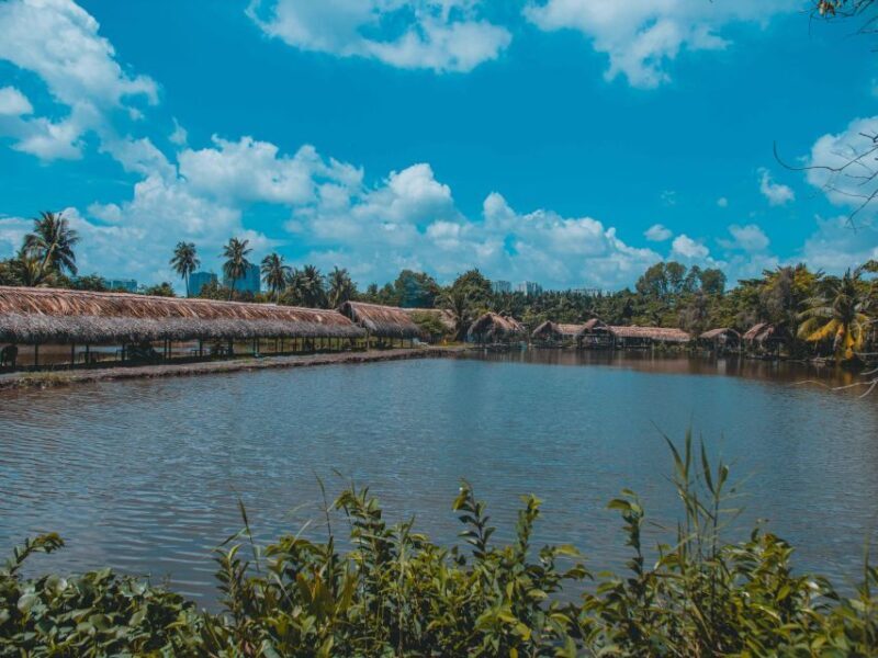 Saigon's Last Mekong Countryside Cycle Tour-Ho Chi Minh City - Discovering the Hidden Mini Tropical Jungle