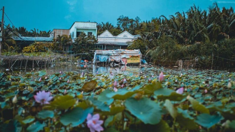 Saigon's Last Mekong Countryside Cycle Tour-Ho Chi Minh City - Sampling Exotic Fruits & Local Flavors