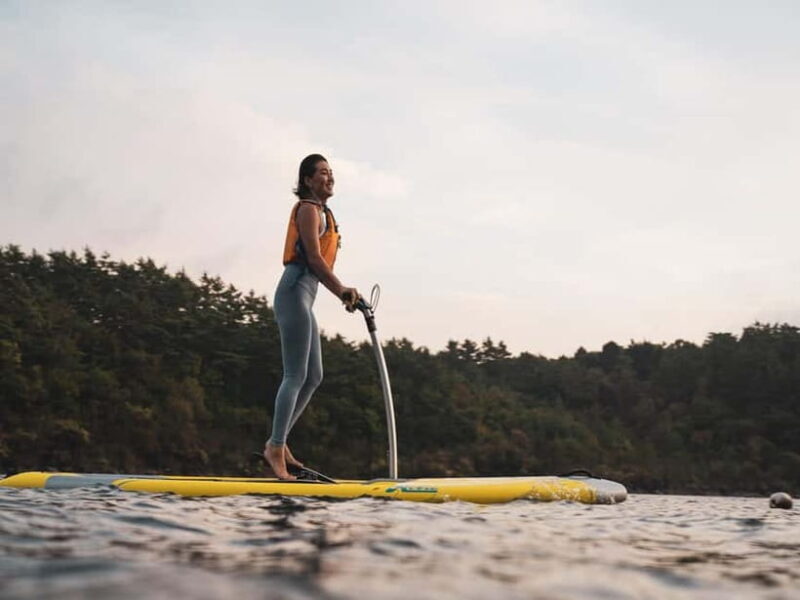 Saiko Lake: Hobie Watersports with Mount Fuji View - Key Points