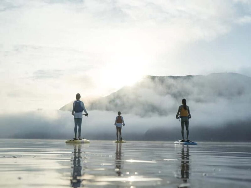 Saiko Lake: Hobie Watersports with Mount Fuji View - A Closer Look at the Experience