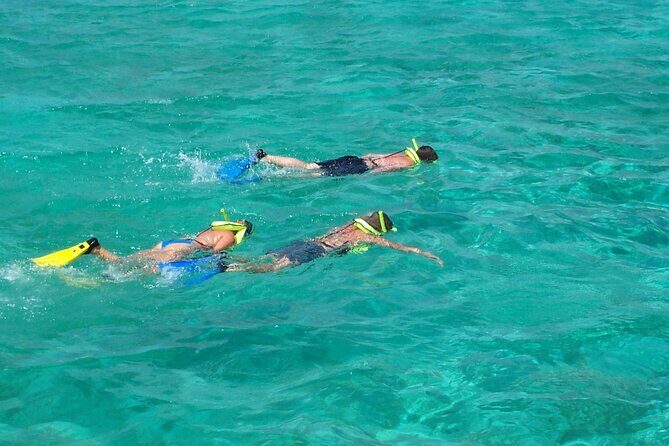 Sail and Snorkel at Cades Reef - Practical Details for Travelers