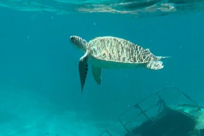 Sail and Snorkel Private Charter - Half Day Morning - What Makes This Tour Stand Out?