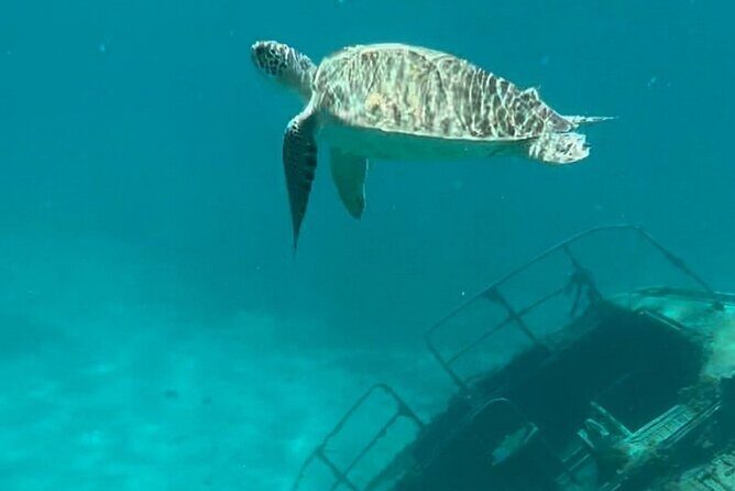 Sail and Snorkel Private Charter - Mid-Day Sail 1230pm to Sunset - Key Points