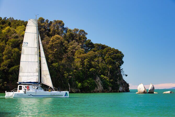 Sail, Seals, and Walk Tour in Abel Tasman - An In-Depth Look at the Experience