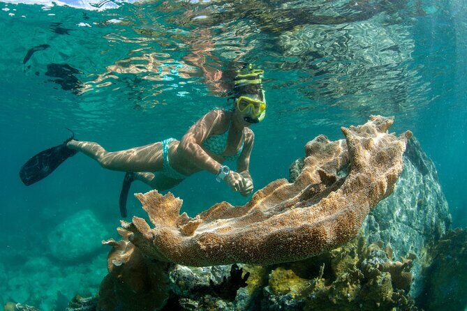 Sail, Shop and Snorkel in St. John from Frenchman's Reef - Analyzing the Value and Cost