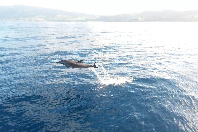 Sail/Snorkel Adventure from Sapphire Marina,STT NO CROWDS~ 6 GUEST MAX - FAQs