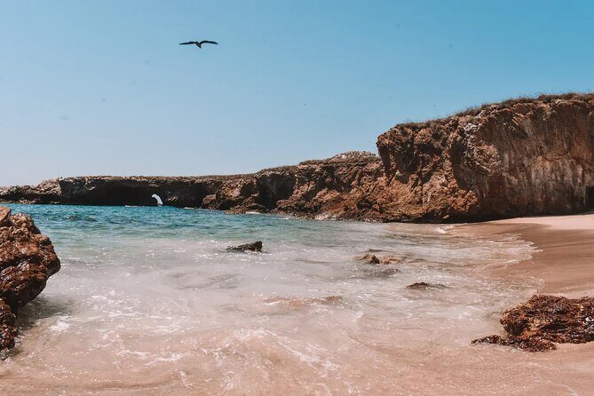 Sail to Playa Escondida in Puerto Vallarta with Food and Snorkeling - Practical Details: Timing, Group Size, and Suitability