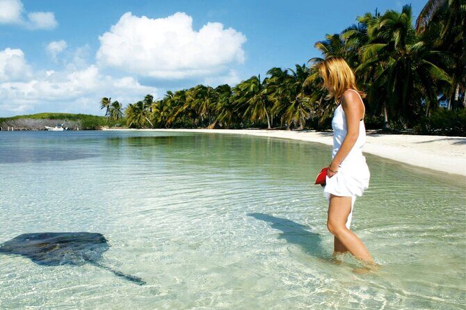 Sailing Adventure! Contoy & Isla Mujeres from Playa Del Carmen - Who This Tour Is Best For