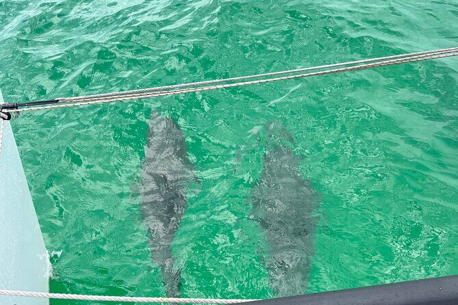 Sailing Adventures 3-Hour Activity in Destin - FAQs