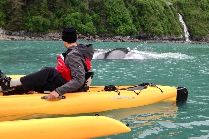 Sailing Alaska's Inside Passage 4 Day Private Tour - Introduction