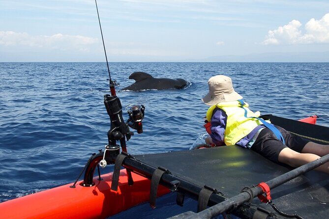 Sailing Alaska's Inside Passage 4 Day Private Tour - Practical Considerations and Value