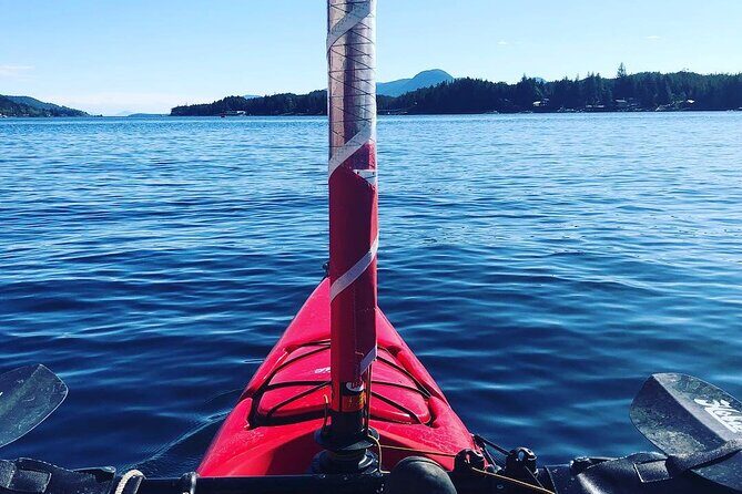 Sailing Alaska's Inside Passage 4 Day Private Tour - Who Is This Tour Best For?