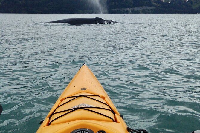 Sailing Alaska's Inside Passage 4 Day Private Tour - FAQ