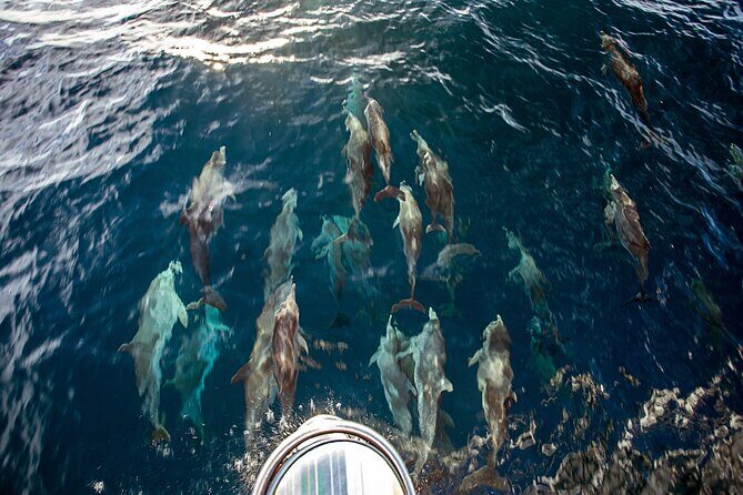 Sailing and Snorkeling to Norman Island and Caves - The Itinerary: What to Expect From Start to Finish