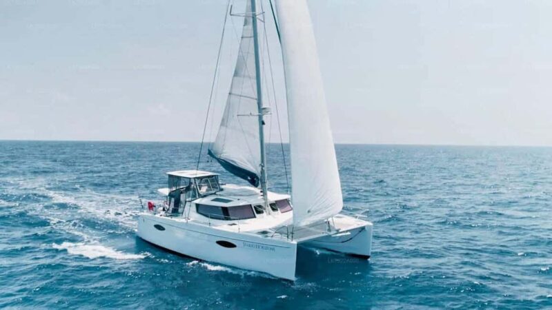 Sailing and Whale Watching in East Coast Sri Lanka! - In-Depth Look at the Experience