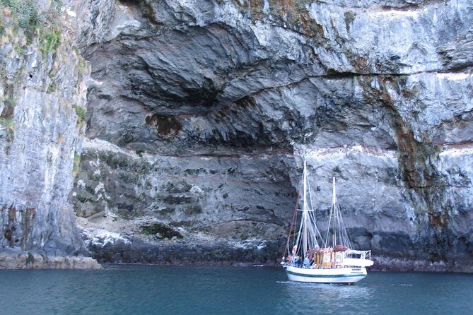Sailing and Wildlife Tour Akaroa Fox II Sailing - Introduction: A Unique Way to Experience Akaroa