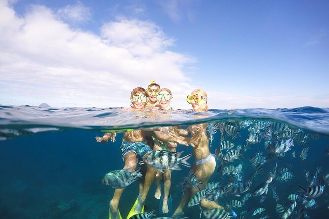 Sailing Catamaran Cruises - Key Points