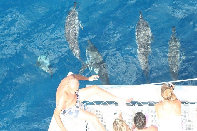 Sailing Catamaran Cruises - Itinerary Breakdown: What to Expect at Each Stop