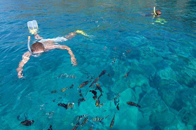Sailing Catamaran Cruises - The Sum Up