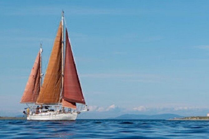 Sailing Charter - A Closer Look at the Sailing Experience