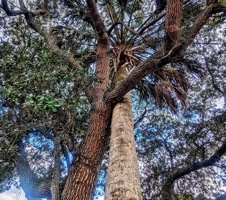 Saint Augustine: Walking Historic Tour - FAQ