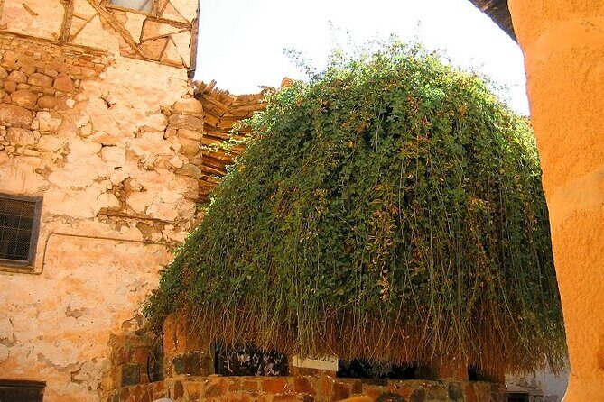 Saint Catherine's Monastery And Dahab Day Tour - Sharm El Sheikh - Final Words