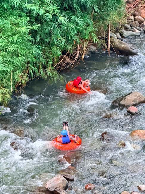 Saint George's: Grenada River Tubing & Waterfall island tour - What the Reviews Say