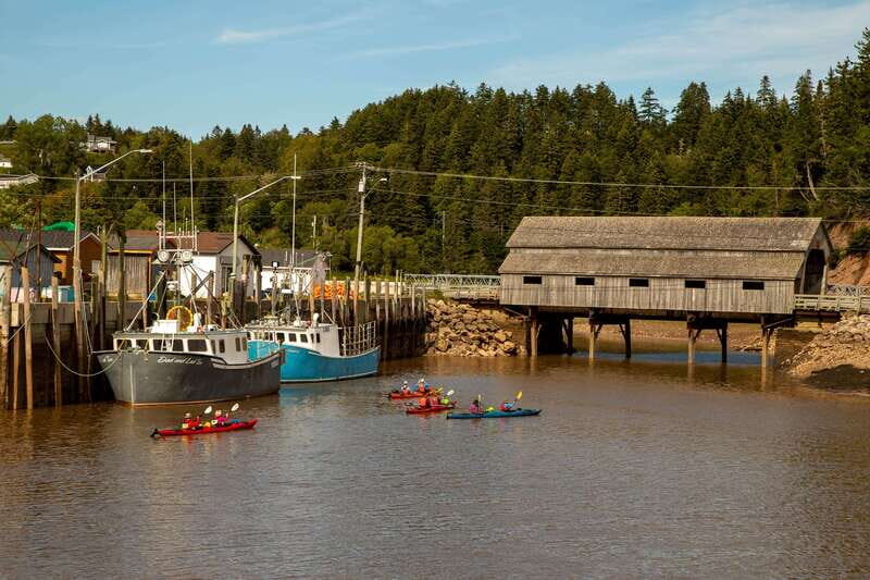 Saint John: Guided Kayaking Tour of St. Martins Sea Caves - Key Points