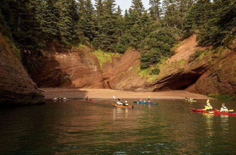 Saint John: Guided Kayaking Tour of St. Martins Sea Caves - Who Would Enjoy This Tour?