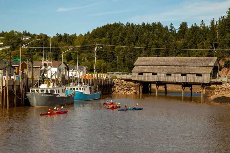 Saint John: Guided Kayaking Tour of St. Martins Sea Caves - Final Thoughts