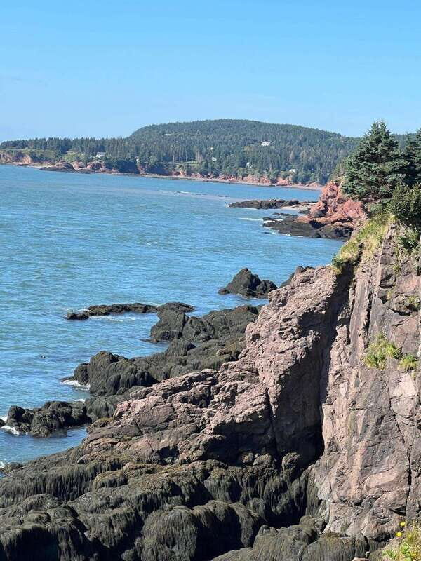Saint John: Highlights and Sea Caves Tour - Key Points
