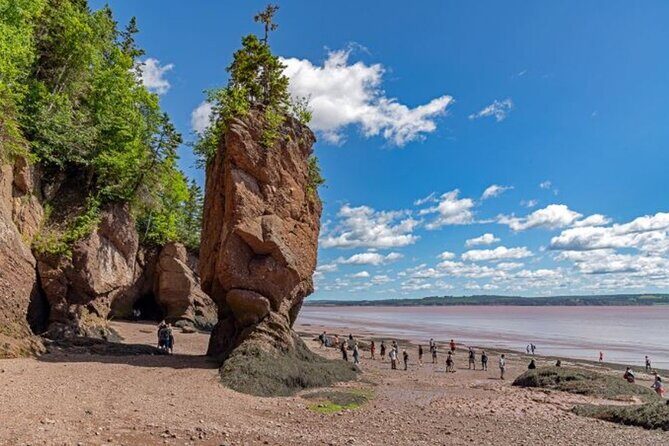 Saint John (NB) Bay of Fundy and Hopewell Rocks Private Tour - Introduction