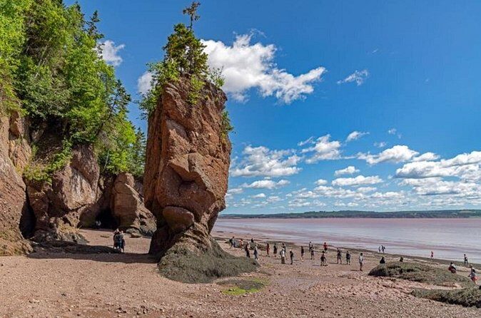 Saint John (NB) Bay of Fundy and Hopewell Rocks Private Tour - The Sum Up
