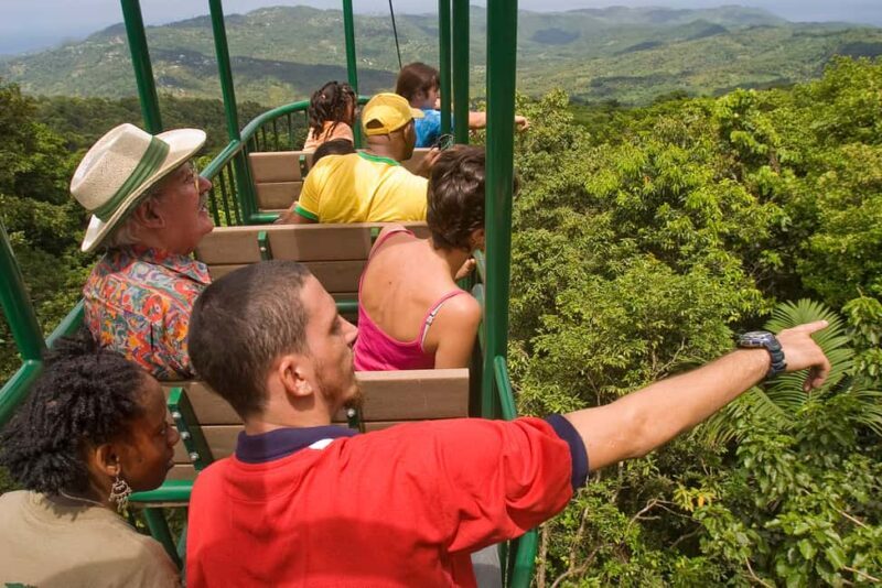Saint Lucia: Aerial Tram Tour at Rainforest Adventures - The Experience: What to Expect on the Aerial Tram Tour