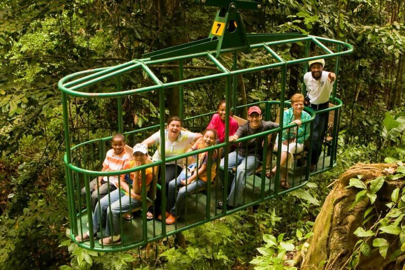 Saint Lucia: Aerial Tram Tour at Rainforest Adventures - Practicalities and Logistics