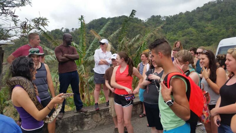 Saint Lucia: Private Island Tour with Customizable Itinerary - Botanical Gardens and Tet Paul Nature Trail