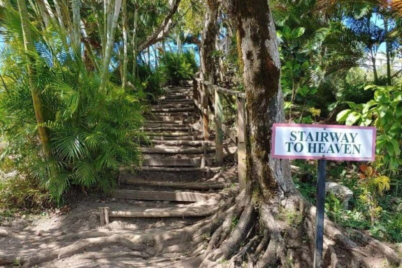 Saint Lucia: Tet Paul Nature Trail Hiking Tour & Beach - Key Points