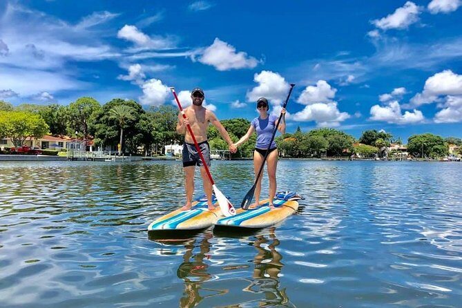 Saint Petersburg Paddle Board Tour - What to Expect on the Paddleboard Tour