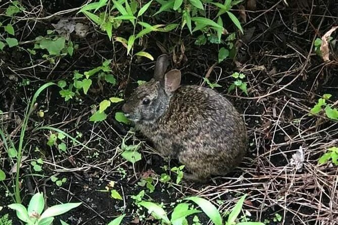 Saint Petersburg Preserve Bike Tour - Summary