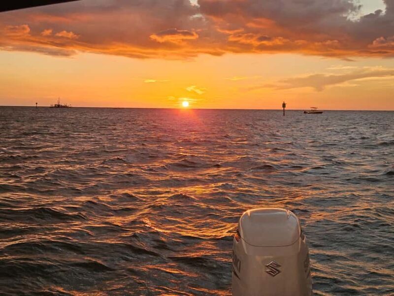 Saint Petersburg: Private Sunset Intracoastal cruise - An in-depth look at the Gulfport Sunset Cruise