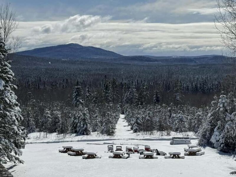Sainte-Apolline-de-Patton: Guided Wolf Sanctuary Tour - Key Points