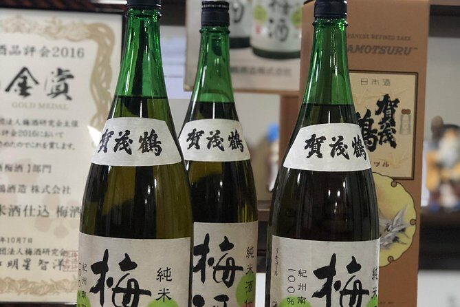 Sake Town Tour in Saijo Hiroshima - Exploring the Sake Town Tour in Saijo Hiroshima: A Deep Dive into Japan’s Sake Culture