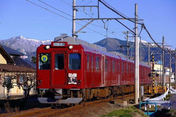 Sakura Magic and Nabana No Sato Day Tour From Osaka - The Itinerary in Detail