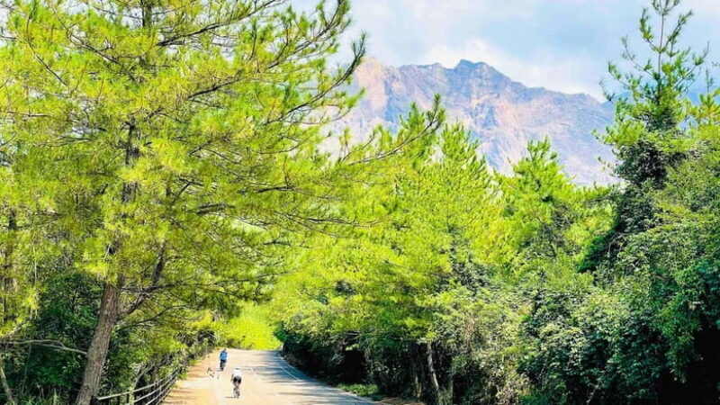 Sakurajima Century Lava Climb Journey with E-bike - Practical Details and Value