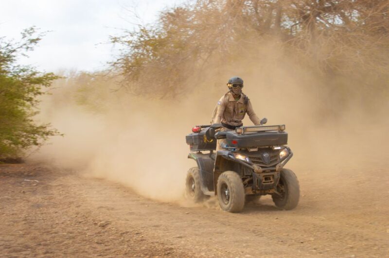Sal: 4-Hour ATV 500cc Quad Island Adventure - Wildlife and Unique Natural Features