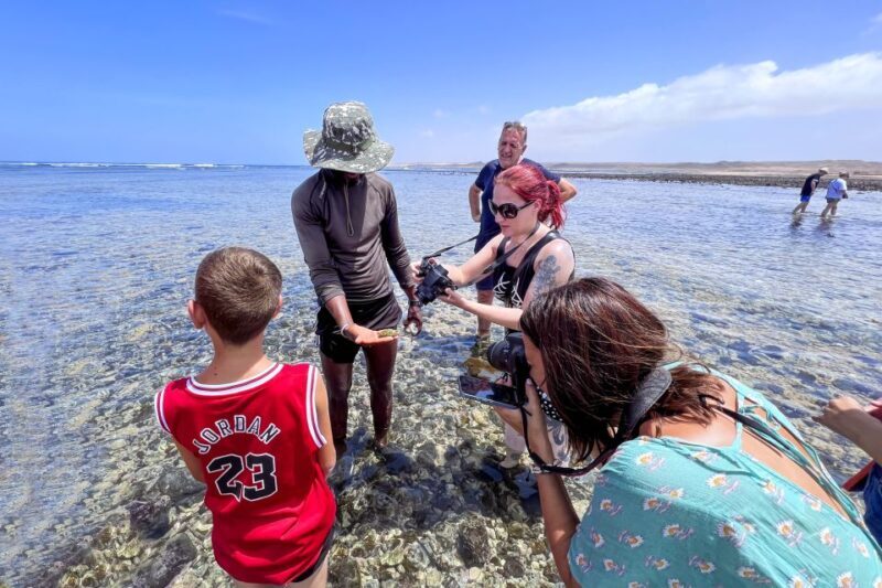 Sal Discovery: A Guided Small Group Island Tour - Introduction