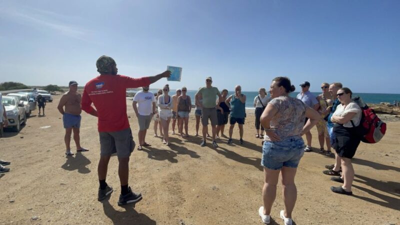 Sal: Half-day tour around the island - The Experience From Travelers’ Perspectives