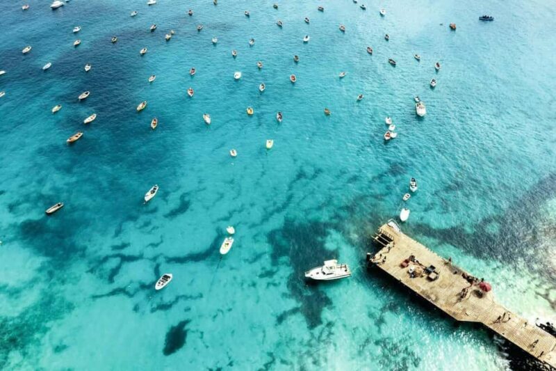 Sal Island Catamaran Cruise with All-inDrinks and Snacks - Key Points