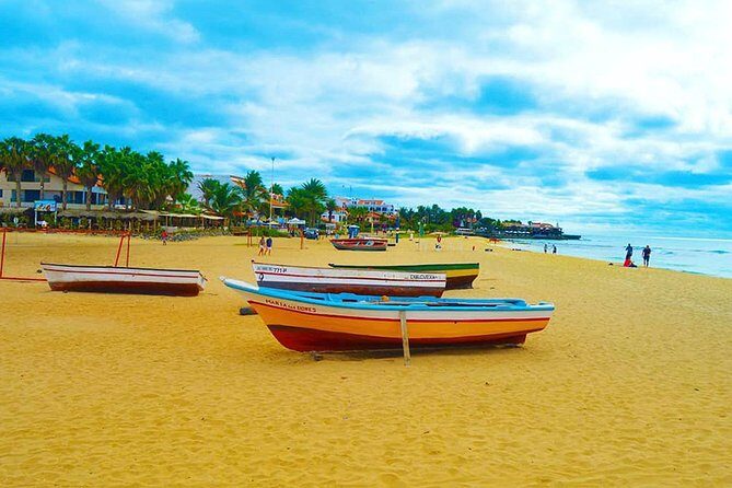 Sal Island: Full-day Private Experience with Local Guide - The Value of This Private Tour